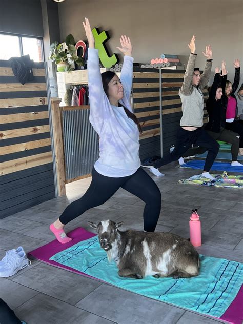 goat yoga chicago il